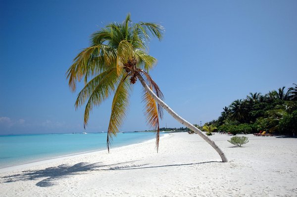 Discover Affordable Adventures: Top Tips for Exploring Welsh Castles on a Budget!