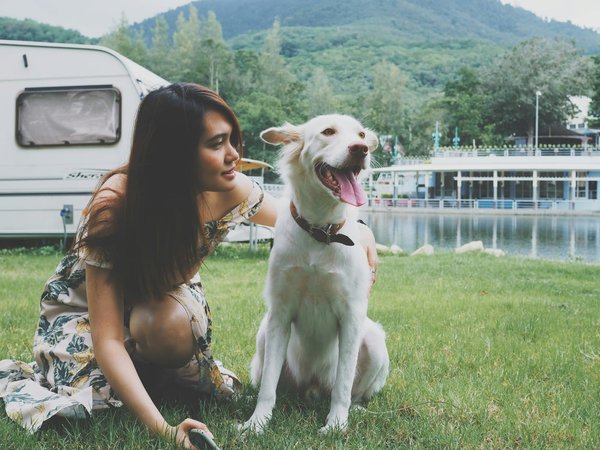 How to find a holiday rental in Norfolk that is close to Royal Norfolk Show?