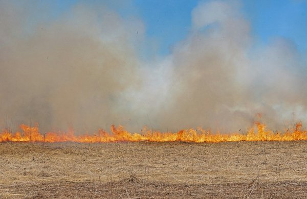 How to find the best local farmer's markets in the Cotswolds?